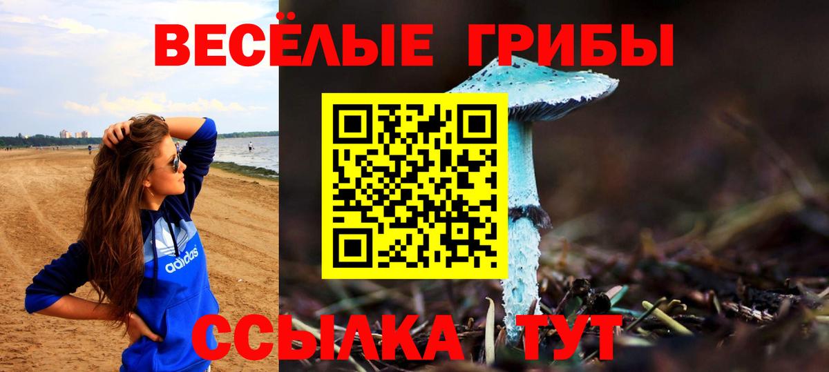 Галлюциногенные грибы мухоморы  Псилоцибиновые грибы MAGIC MUSHROOMS  Алушта  Вход с VPN 